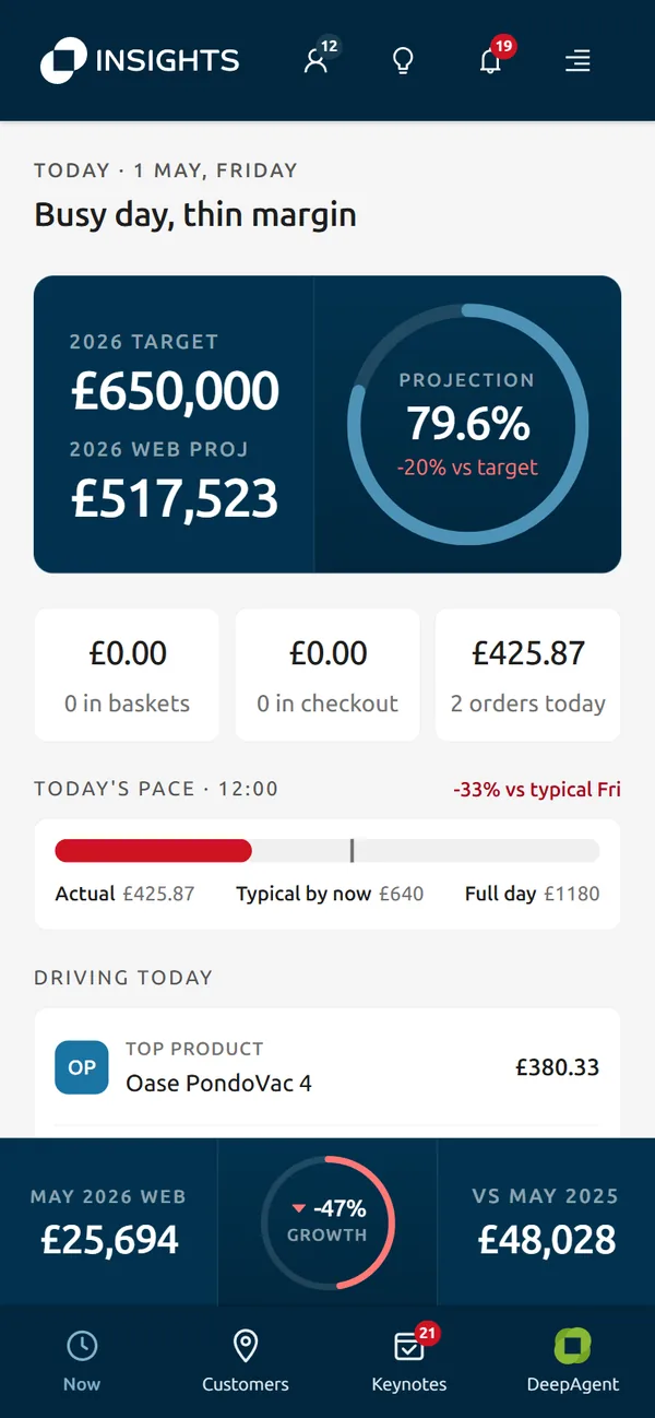 Insights home on a phone: the headline Busy day, thin margin; a card with the 2026 target of £650,000, the web projection of £517,523 and a 79.6% projection ring; today's pace bar; and the top product driving today